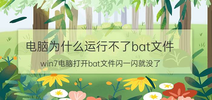 电脑为什么运行不了bat文件 win7电脑打开bat文件闪一闪就没了？